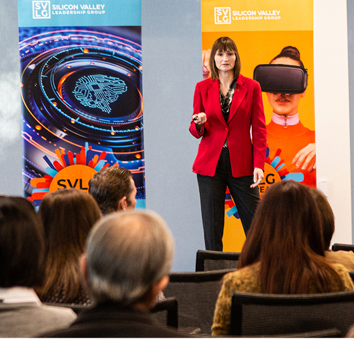 Svlg Homepage Pillars